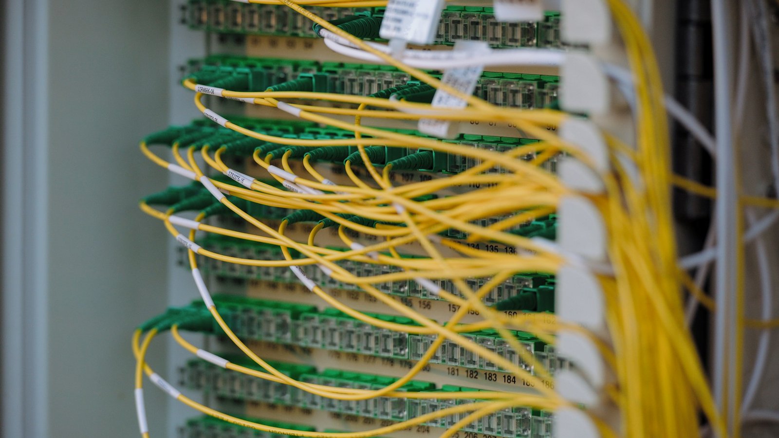Neatly organized yellow and green network cables connected to a server panel